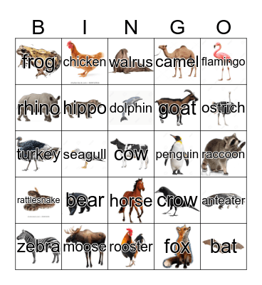 Animal Bingo Card