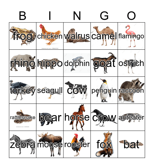 Animal Bingo Card