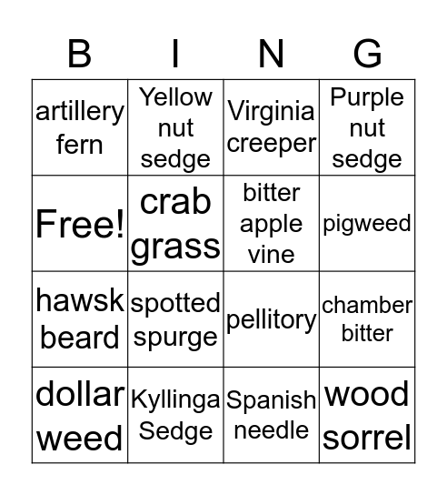 Weeds are Springing Up!  Bingo Card