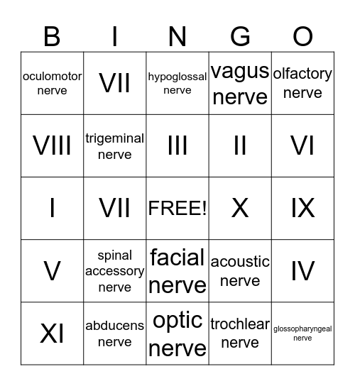 The Brain & The Cranial Nerves Bingo Card