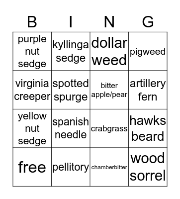 Weeds are Springing Up!  Bingo Card