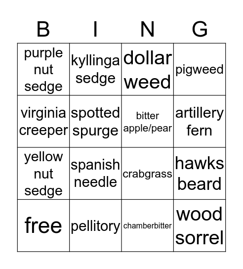 Weeds are Springing Up!  Bingo Card