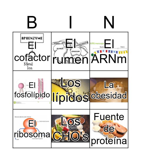 Segundo Parcial Bingo Card