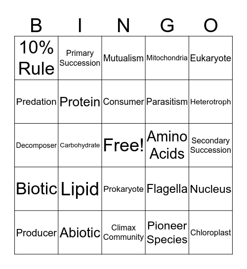 Cecelia Bingo Card