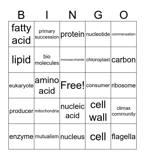 ashley  Bingo Card