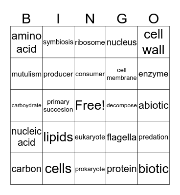 Emmanuel's Bingo Card