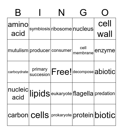Emmanuel's Bingo Card
