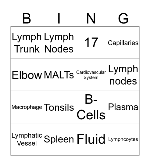 Lymphatic System  Bingo Card
