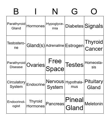 Endocrine System Bingo Card