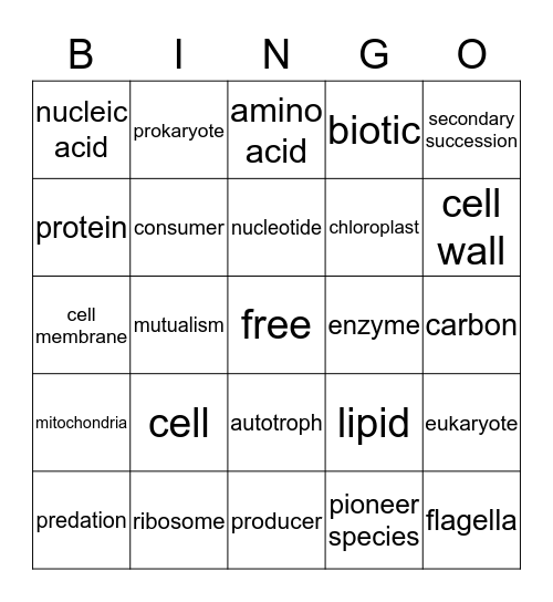 melody Bingo Card