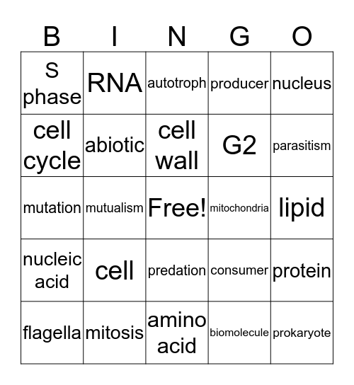 edgar luna  Bingo Card