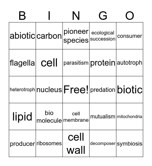 Juan Bingo Card