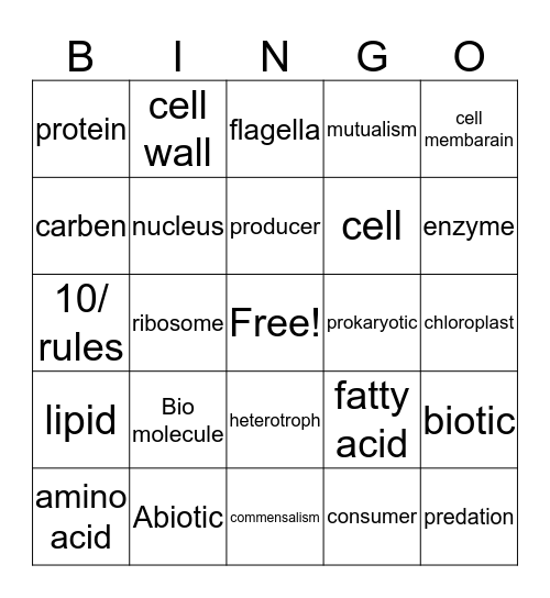 Untitled  Brandon Bingo Card