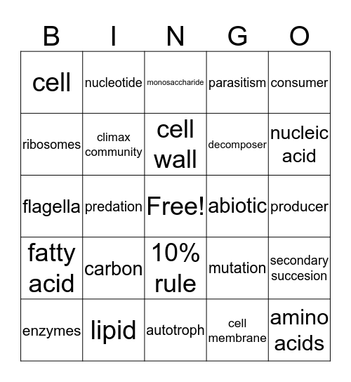 priscilla Bingo Card