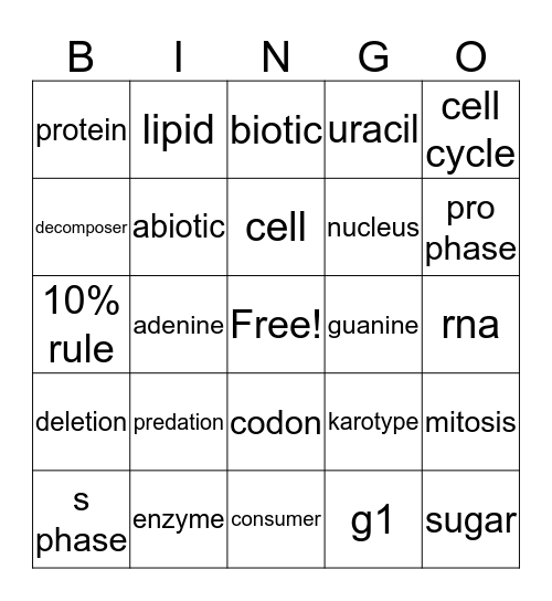 raul Bingo Card