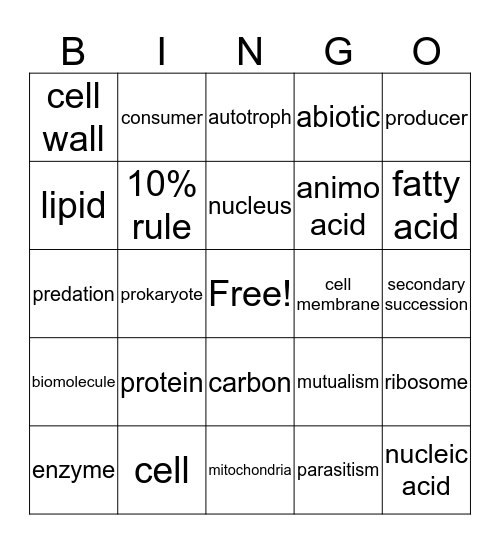 valeria lugo Bingo Card