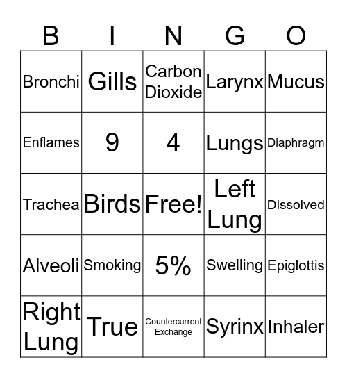 Respiratory System Bingo Card
