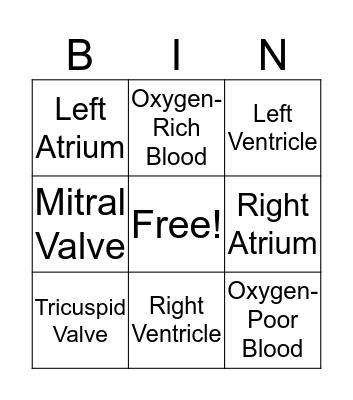 The Human Heart Bingo Card