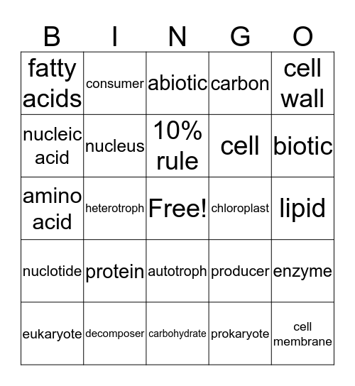 evelyn molina Bingo Card