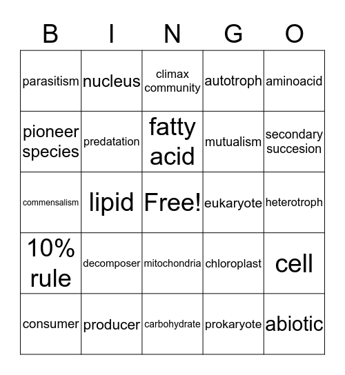 Erica rodriguez Bingo Card