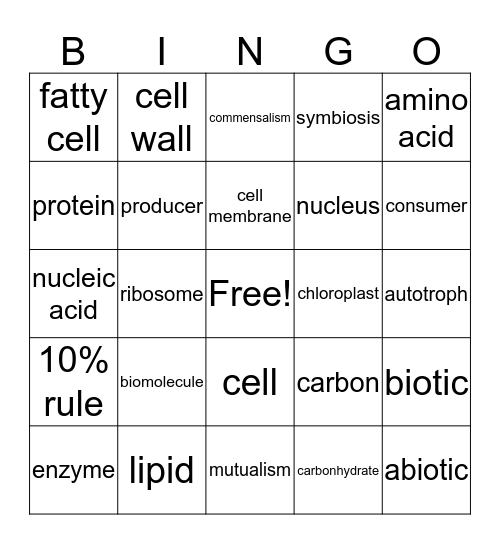 Kaylynn Bingo Card