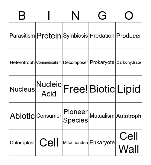 Jacee Bingo Card