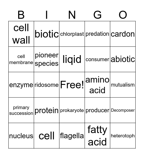 jackie Bingo Card