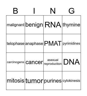 PMAT Bingo Card