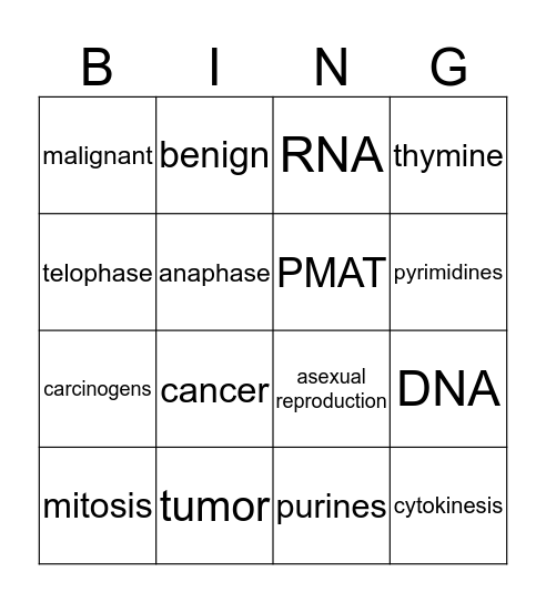 PMAT Bingo Card