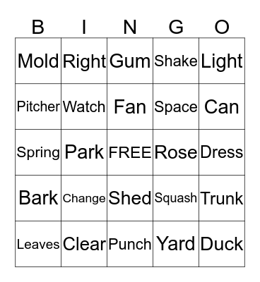 Multiple Meaning Words Bingo Card
