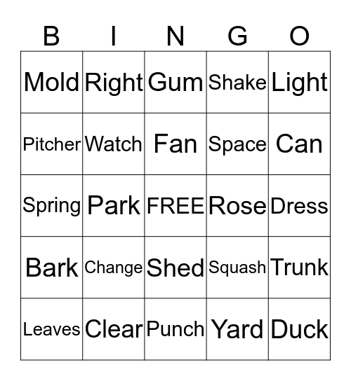 Multiple Meaning Words Bingo Card