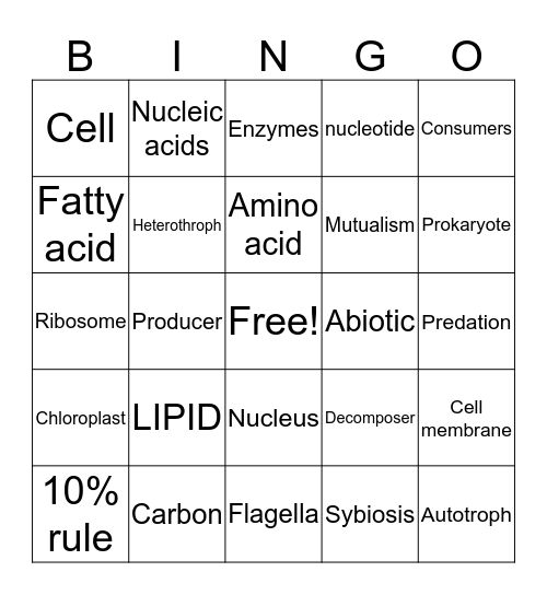 Gabriel Bingo Card