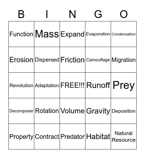 4th Grade Vocabulary Science Review Bingo Card