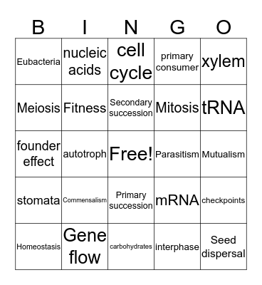 EOC Review Bingo Card