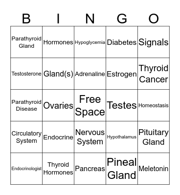 Endocrine System Bingo Card