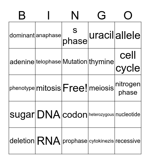 valeria lugo  Bingo Card