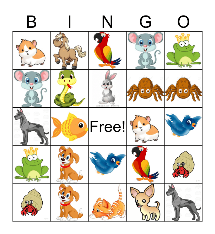 Bingo Pet Facts Bingo Card