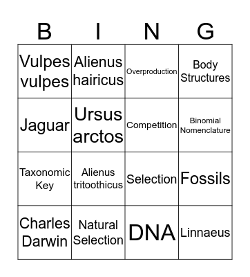 Classificato Bingo Card