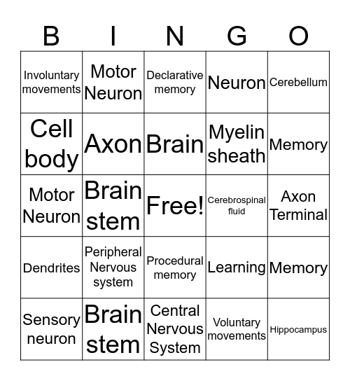 Neuroscience Review Bingo Card