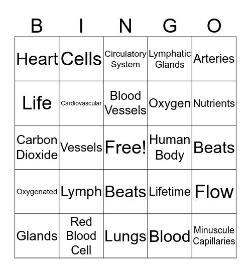 Circulatory System  Bingo Card