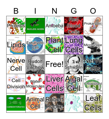 Cell Bingo Card