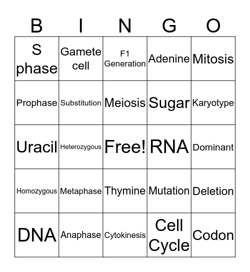 Stefanie Bingo Card