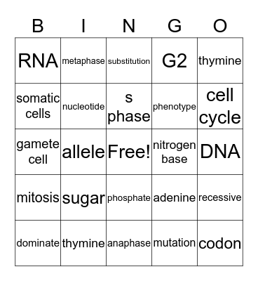 nathan gamez Bingo Card
