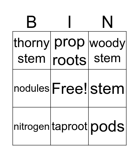 Roots and Stems Bingo Card