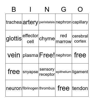 BIOLOGY 2 FINAL Bingo Card