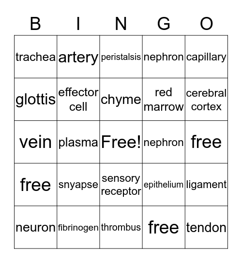 BIOLOGY 2 FINAL Bingo Card