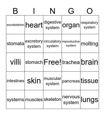 Human Body Systems Bingo Card