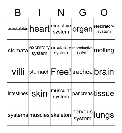 Human Body Systems Bingo Card