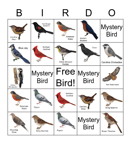 Backyard Birding Bingo Card