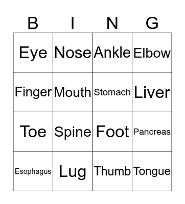 Human Body Bingo Card